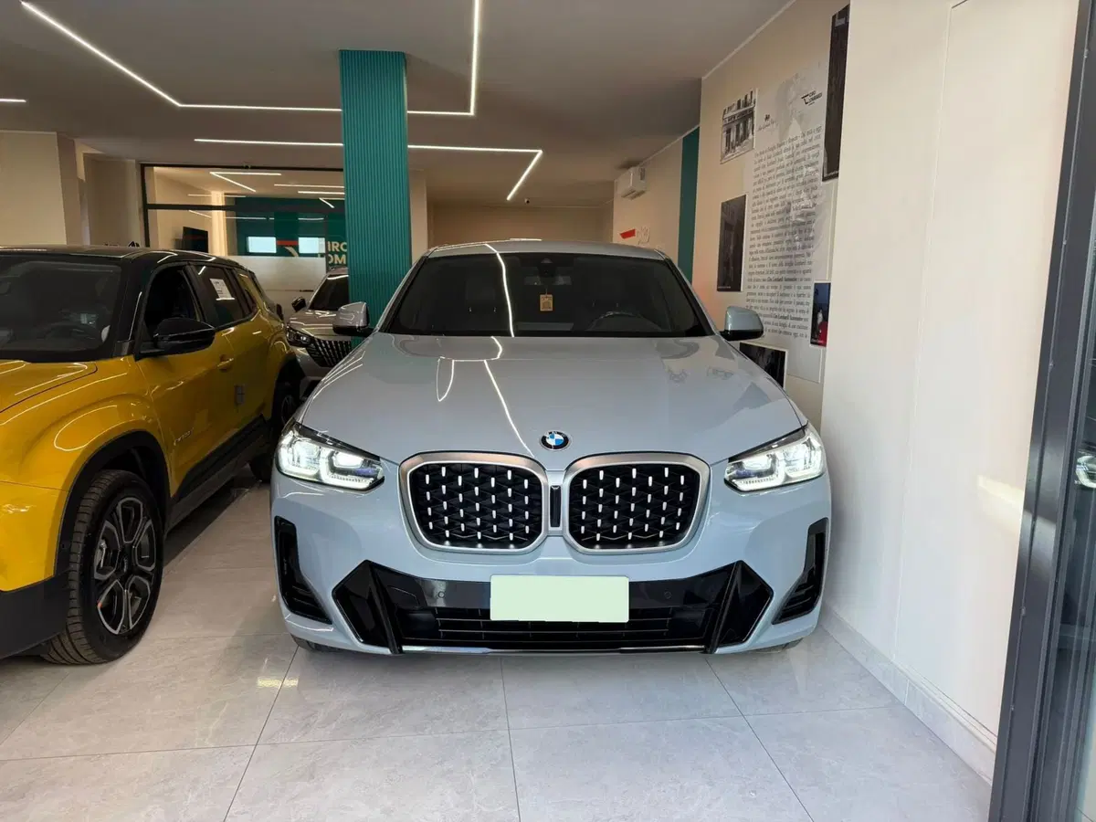 BMW X4 usata a Salerno (2)