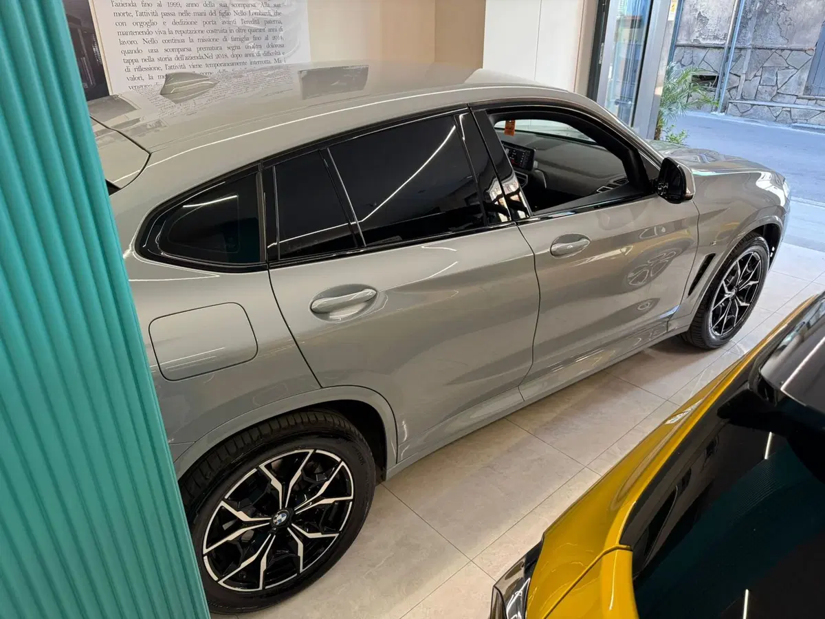 BMW X4 usata a Salerno (4)