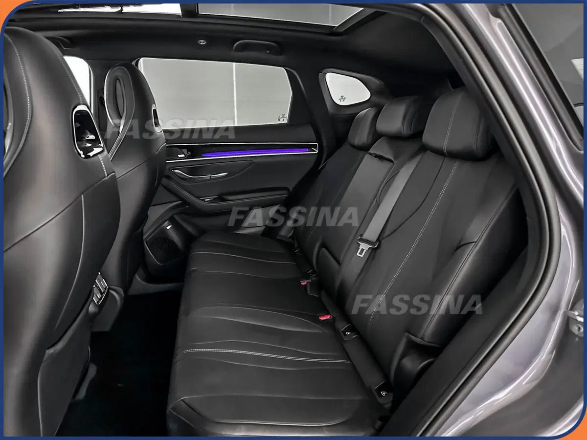 Byd Seal U DM-i  usata a Milano (11)