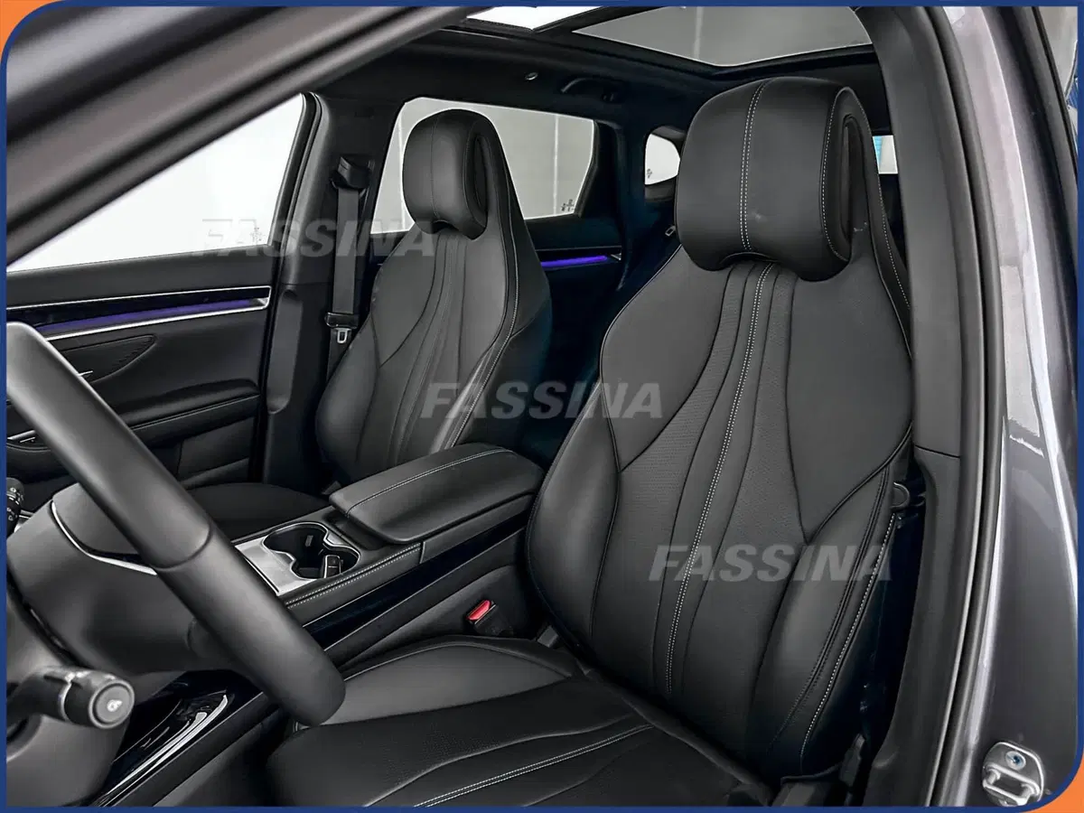 Byd Seal U DM-i  usata a Milano (8)