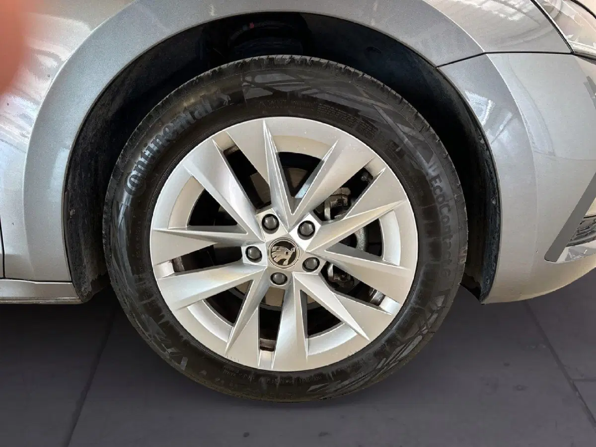 Skoda Octavia Station Wagon nuova a Arezzo (15)