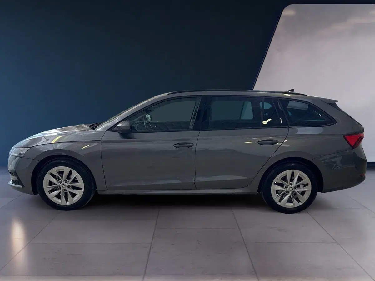 Skoda Octavia Station Wagon nuova a Arezzo (2)