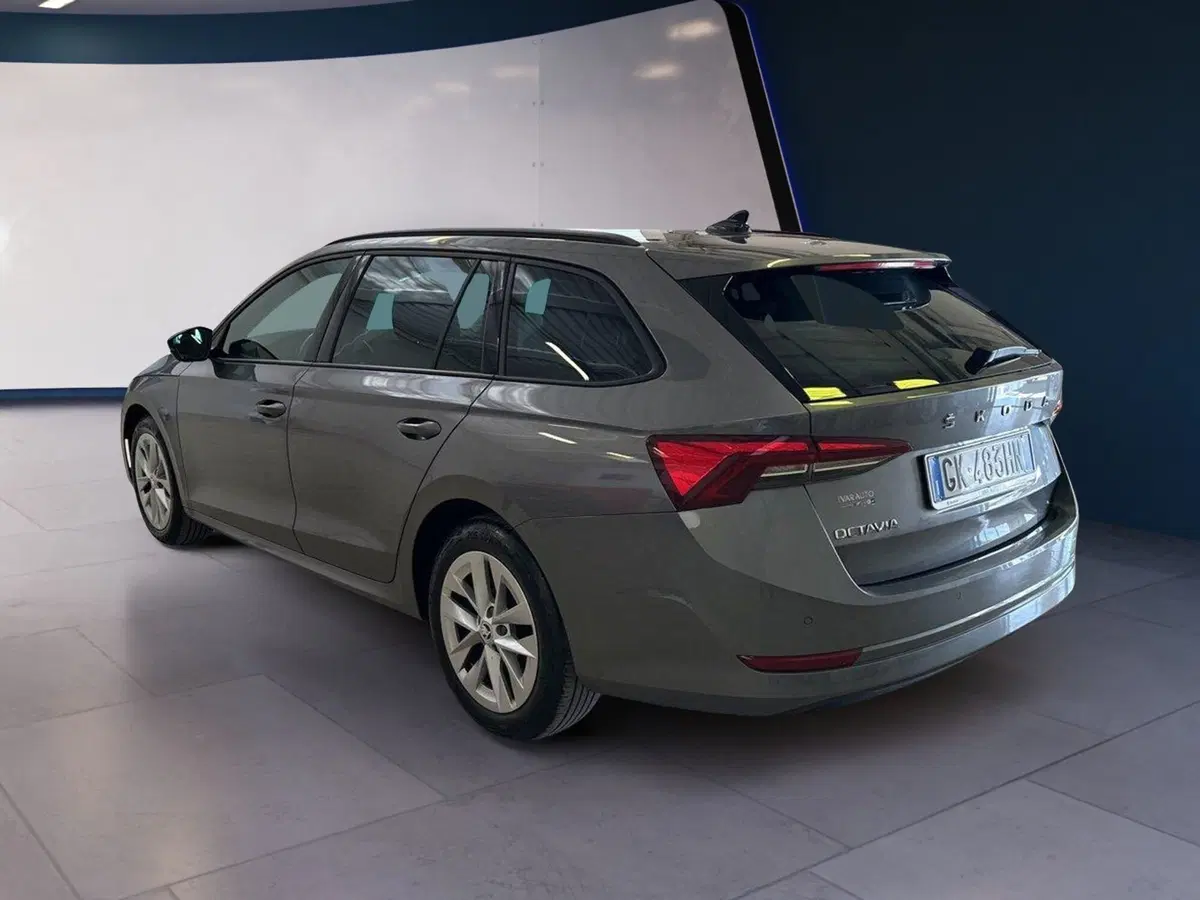 Skoda Octavia Station Wagon nuova a Arezzo (3)