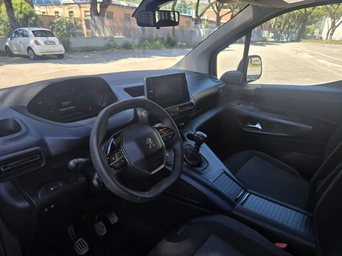 Peugeot Rifter usata a Massa-Carrara (19)
