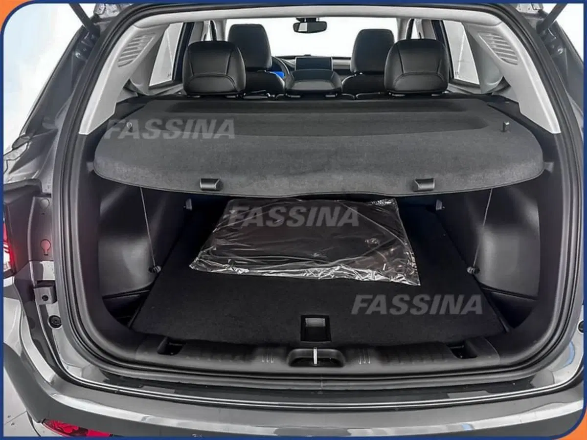 Jeep Compass usata a Milano (11)