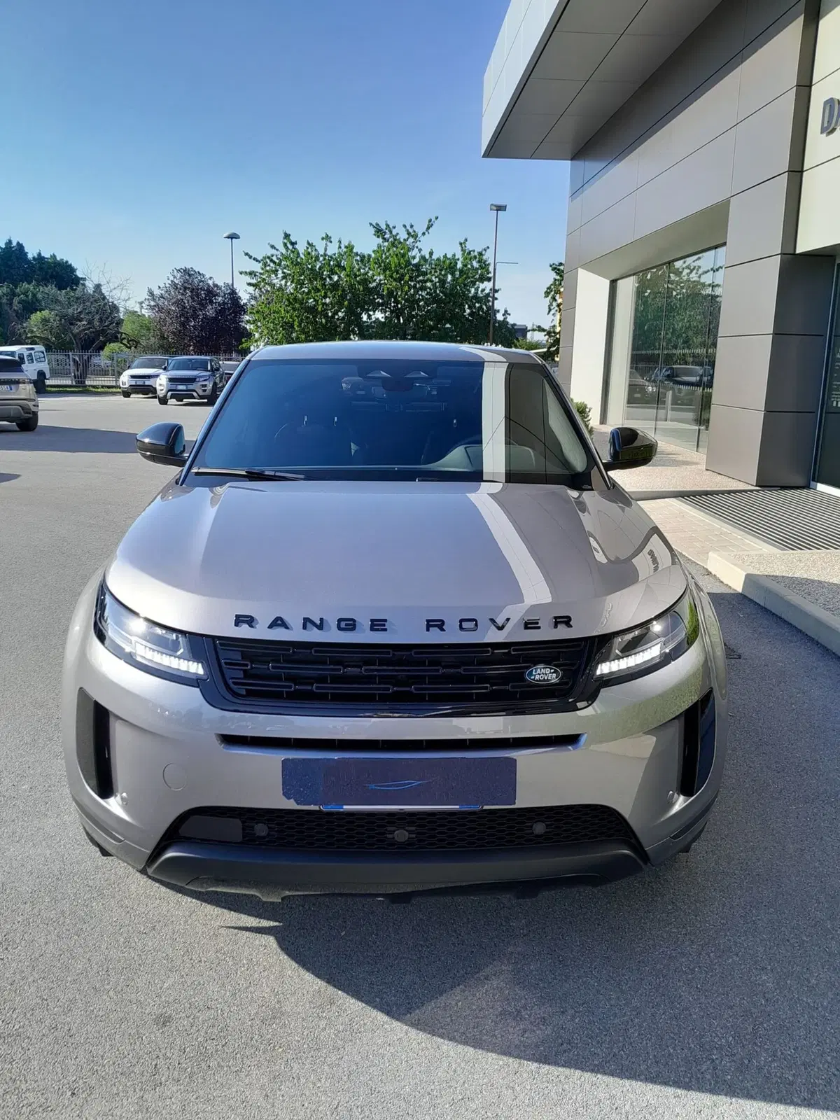 Land Rover Range Rover Evoque usata a Cuneo (2)