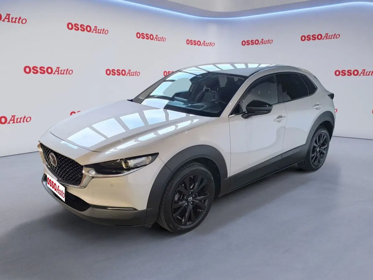 Mazda CX-30 usata a Udine