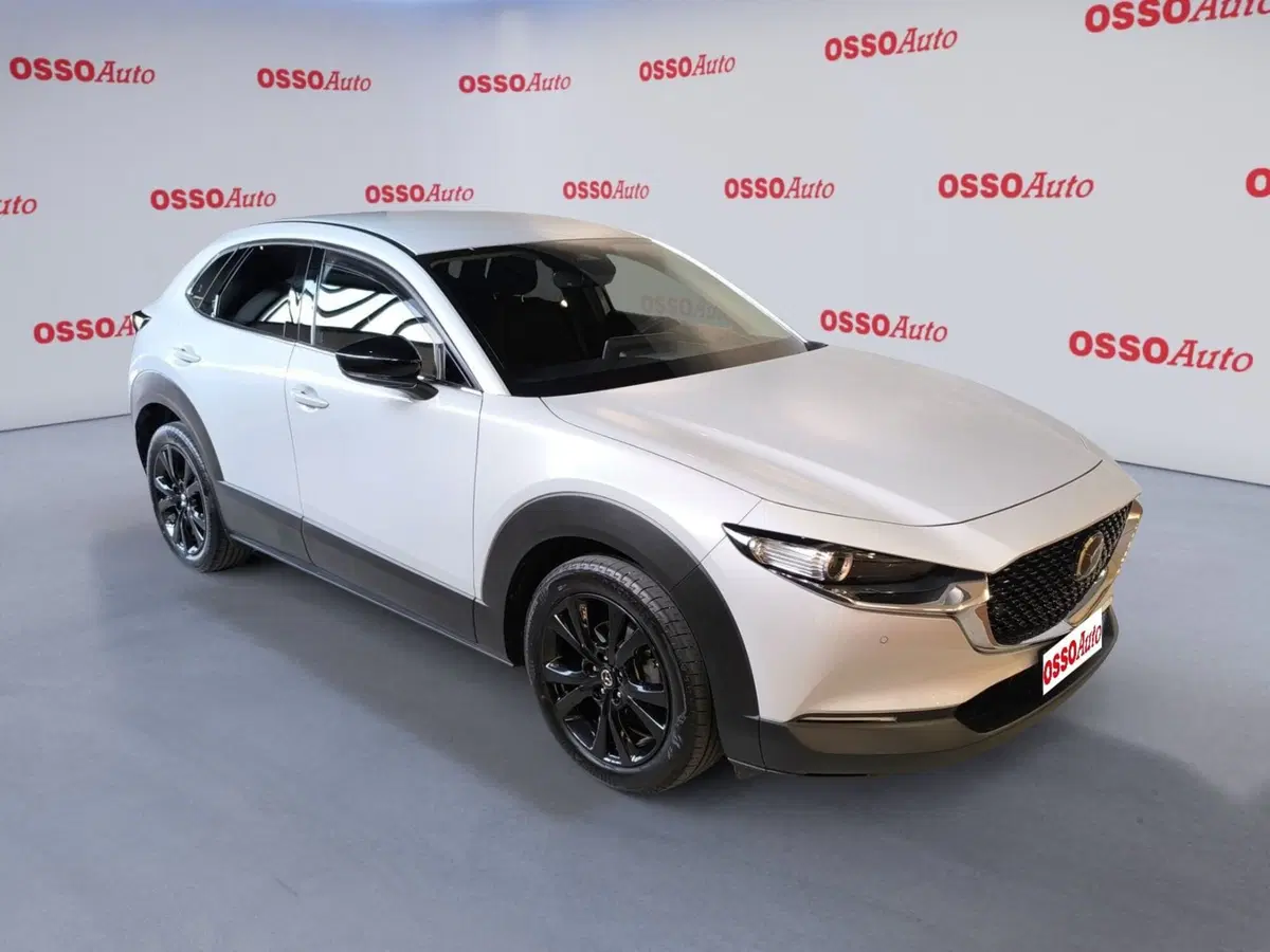 Mazda CX-30 usata a Udine (2)