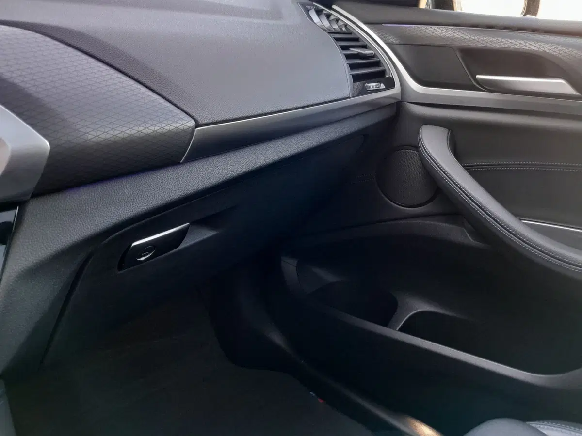 BMW X4 usata a Cuneo (12)