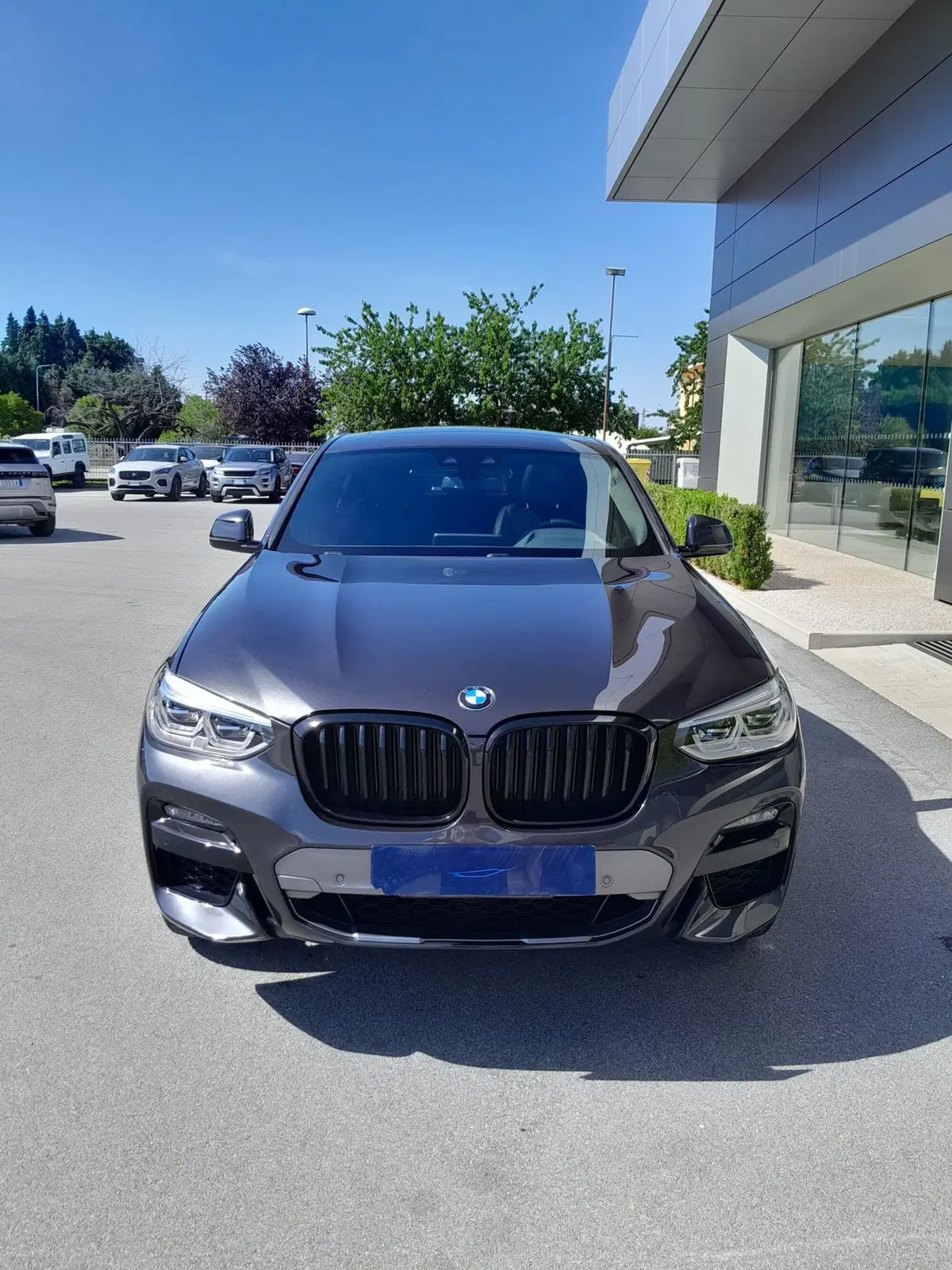 BMW X4 usata a Cuneo (2)