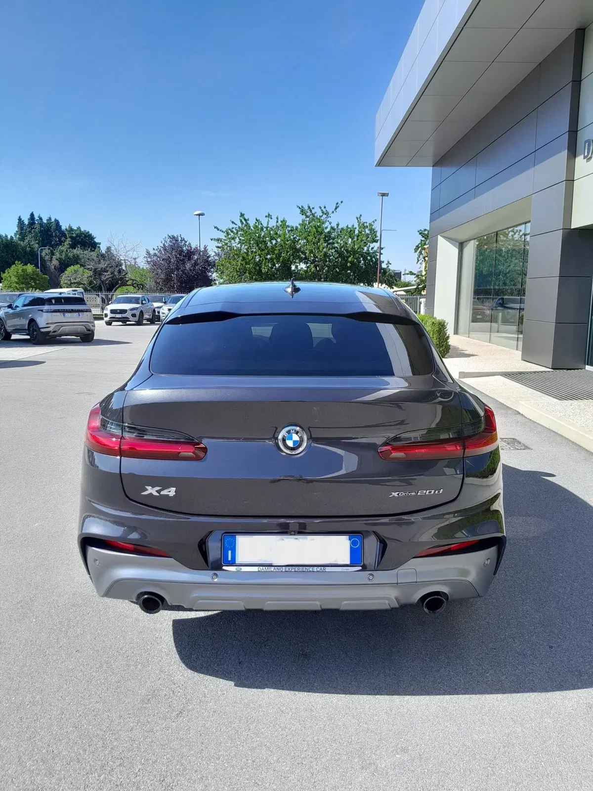 BMW X4 usata a Cuneo (7)