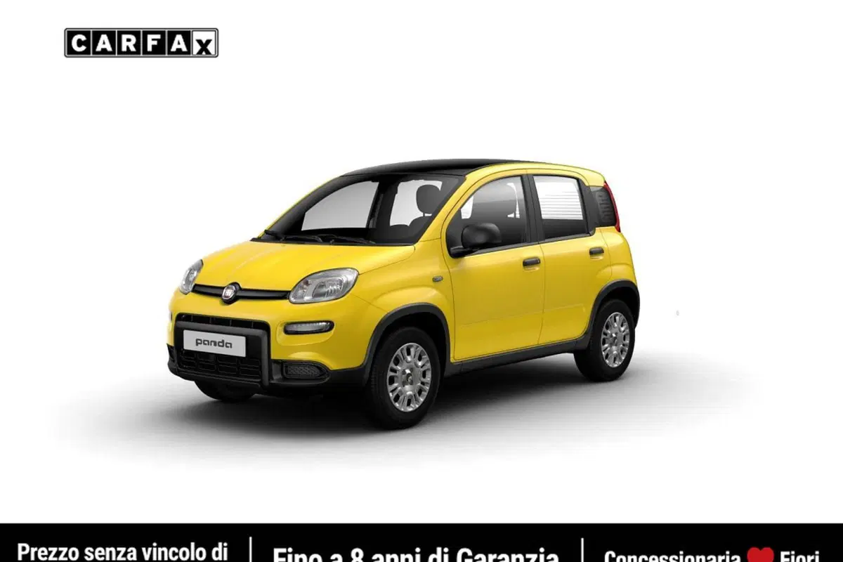 Fiat Pandina usata a Roma (2)