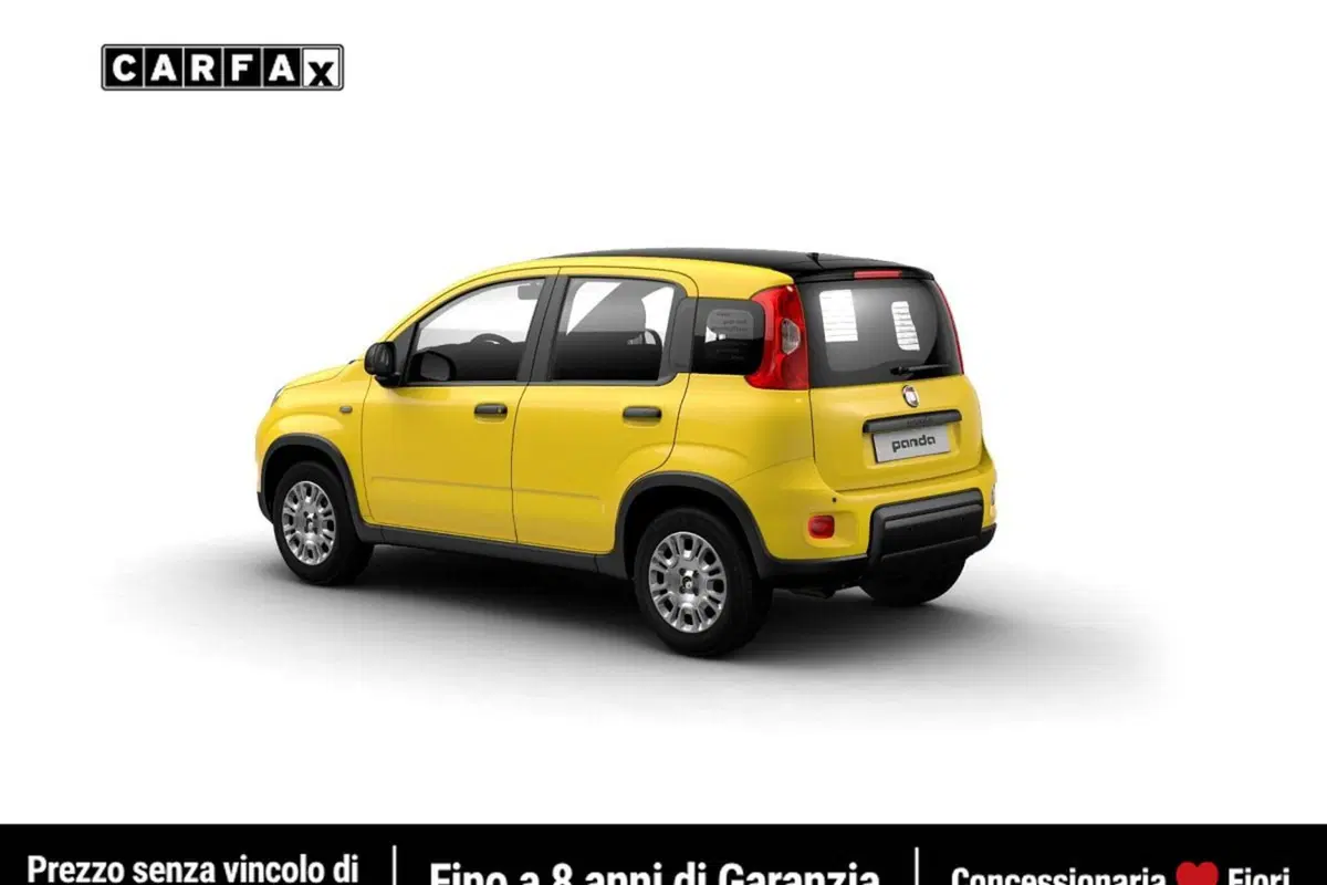 Fiat Pandina usata a Roma (3)