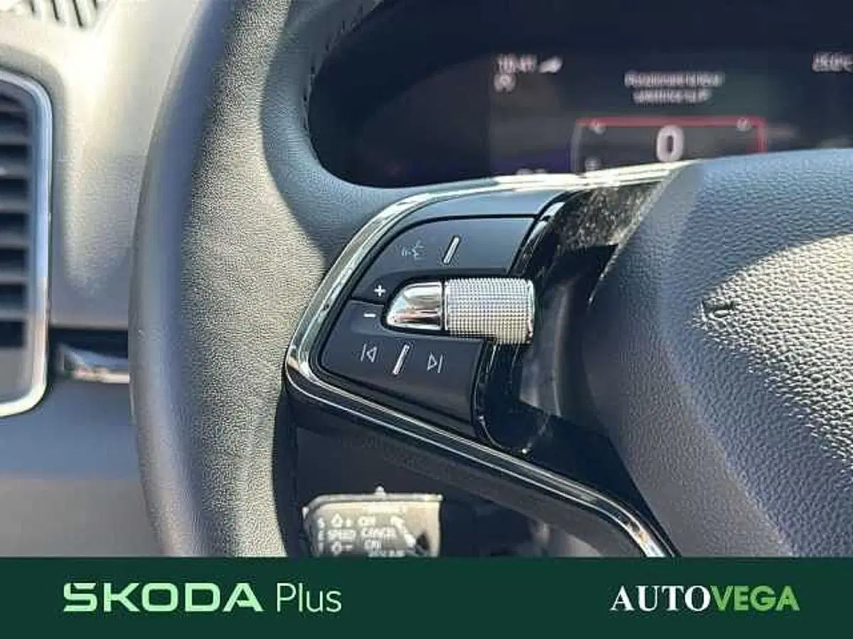 Skoda Karoq usata a Vicenza (19)