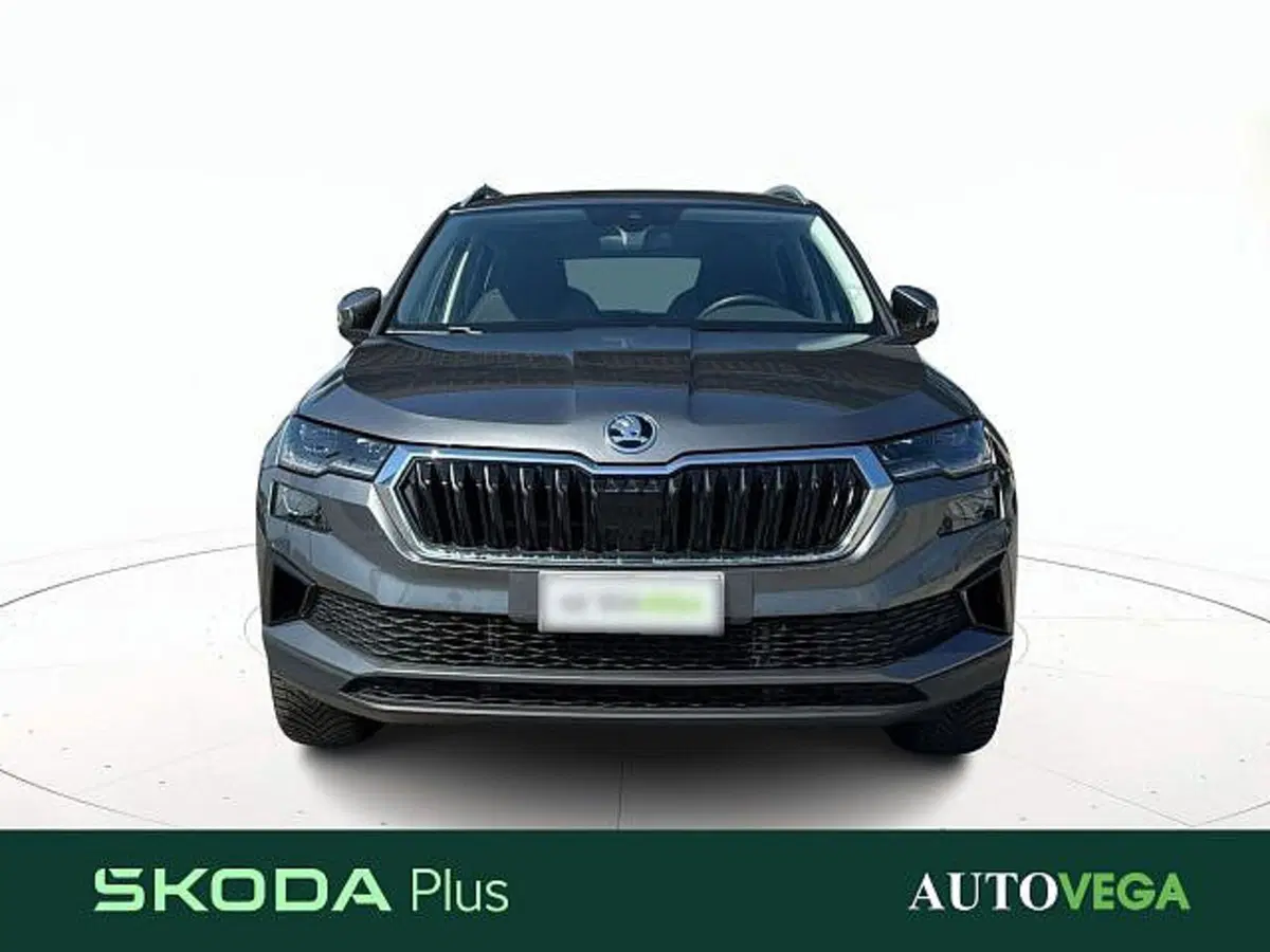 Skoda Karoq usata a Vicenza (2)