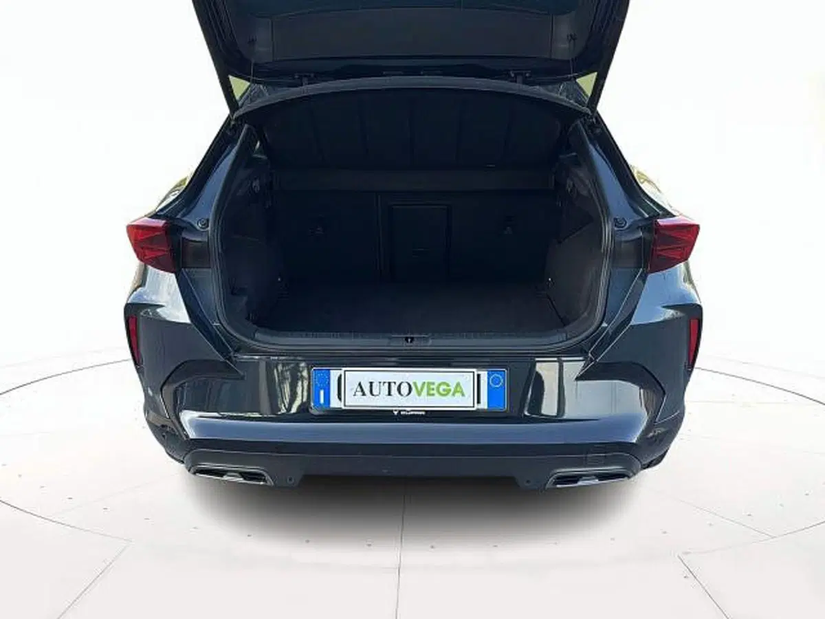 Cupra Formentor usata a Vicenza (11)