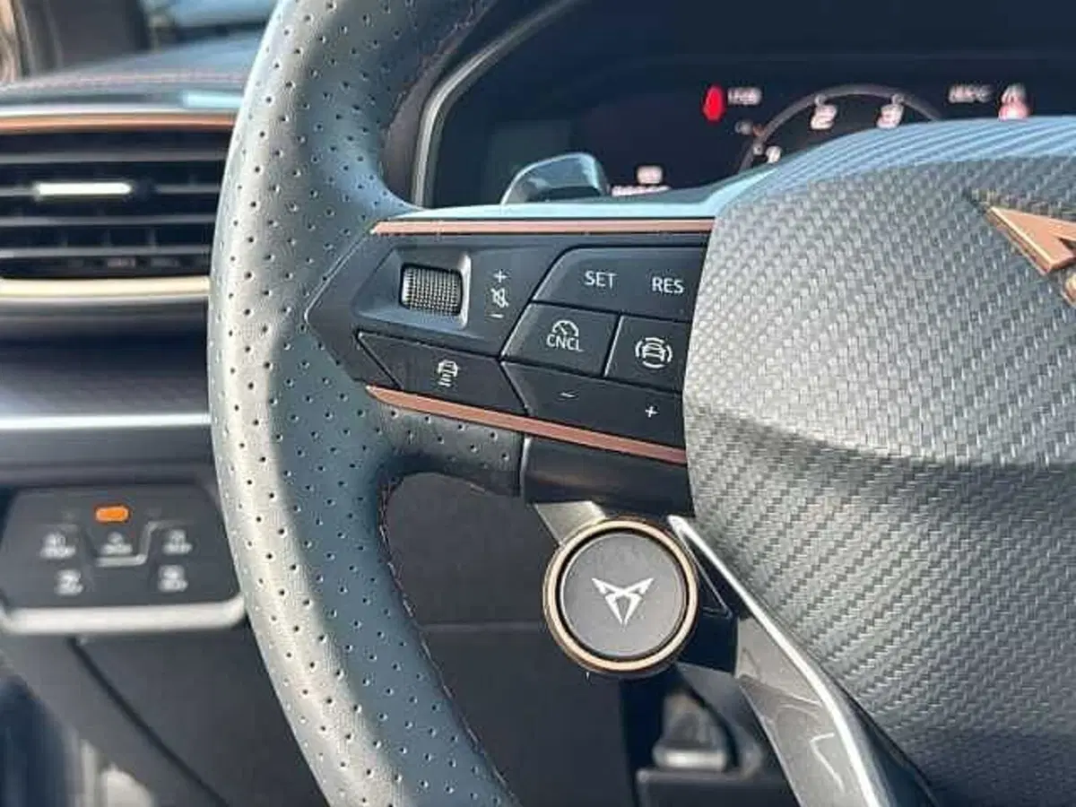 Cupra Formentor usata a Vicenza (19)