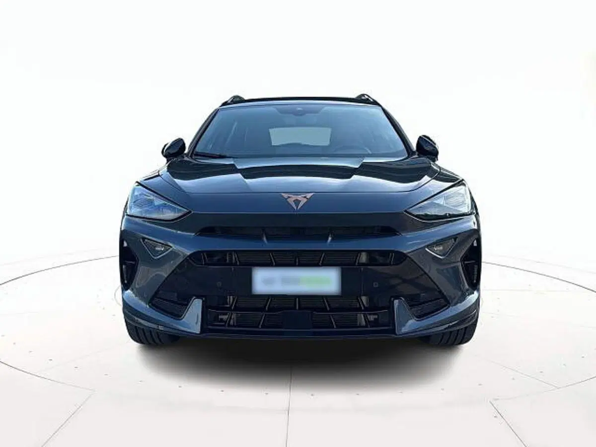 Cupra Formentor usata a Vicenza (2)