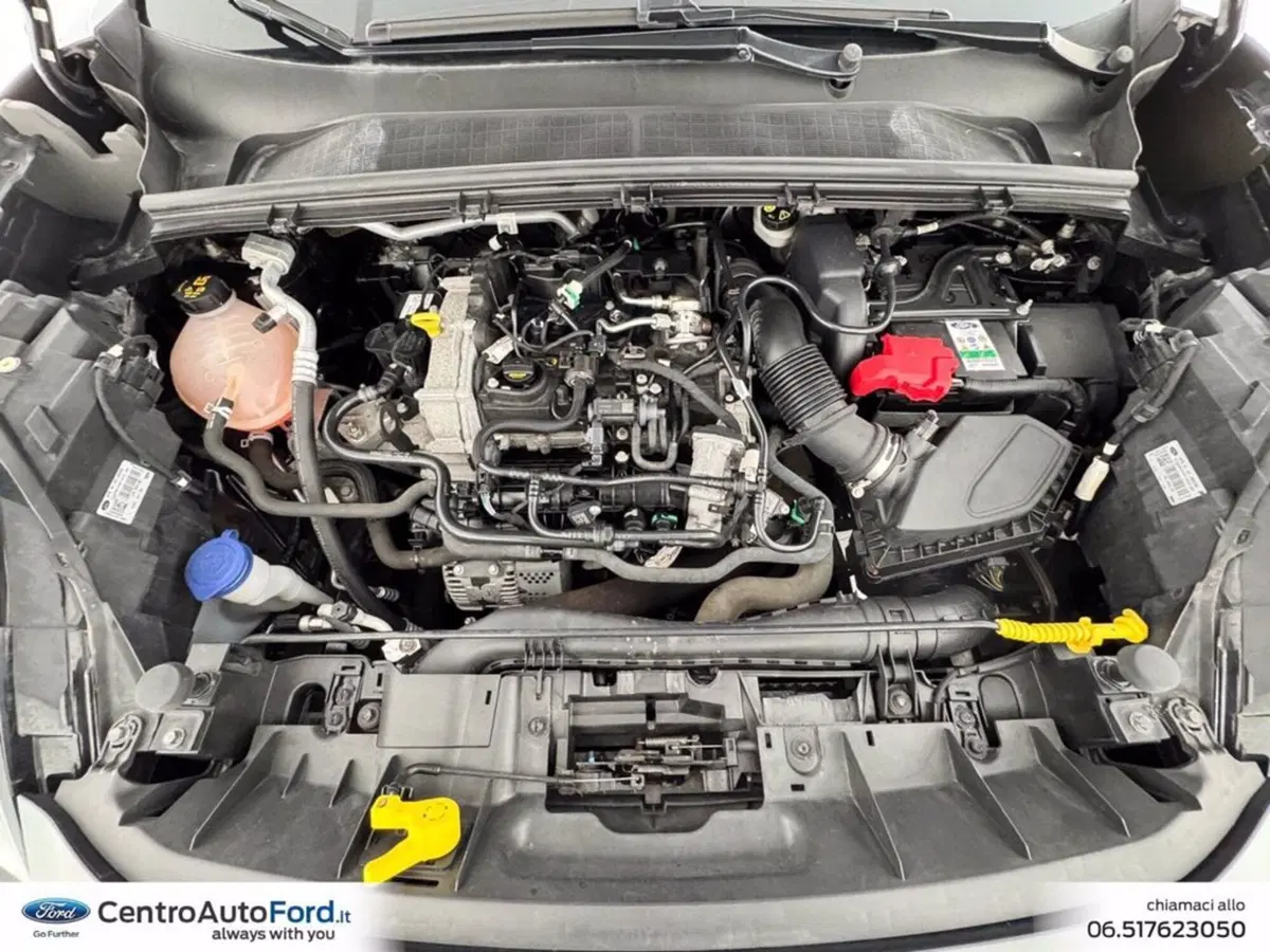 Ford Puma usata a Roma (12)