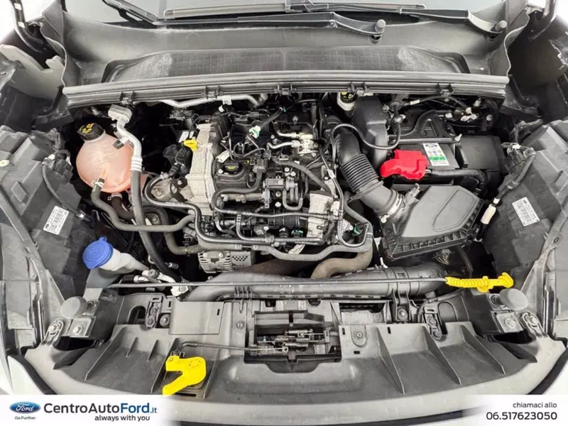 Ford Puma usata a Roma (12)