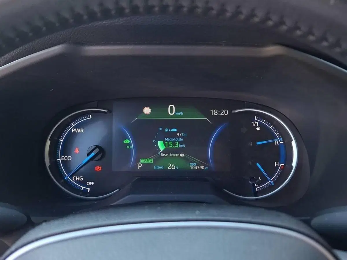 Toyota Rav4 usata a Torino (9)