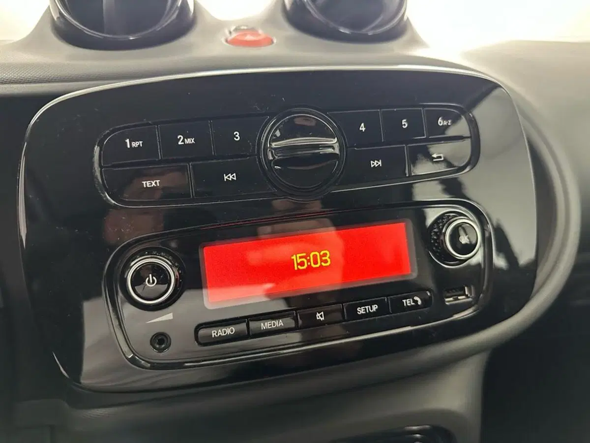 smart Fortwo usata a Bolzano (13)