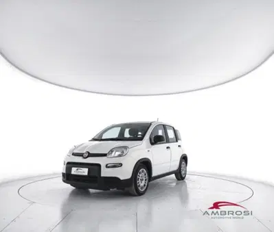 Fiat Panda 1.0 firefly hybrid s&amp;s 70cv 5p.ti del 2023 usata a Corciano