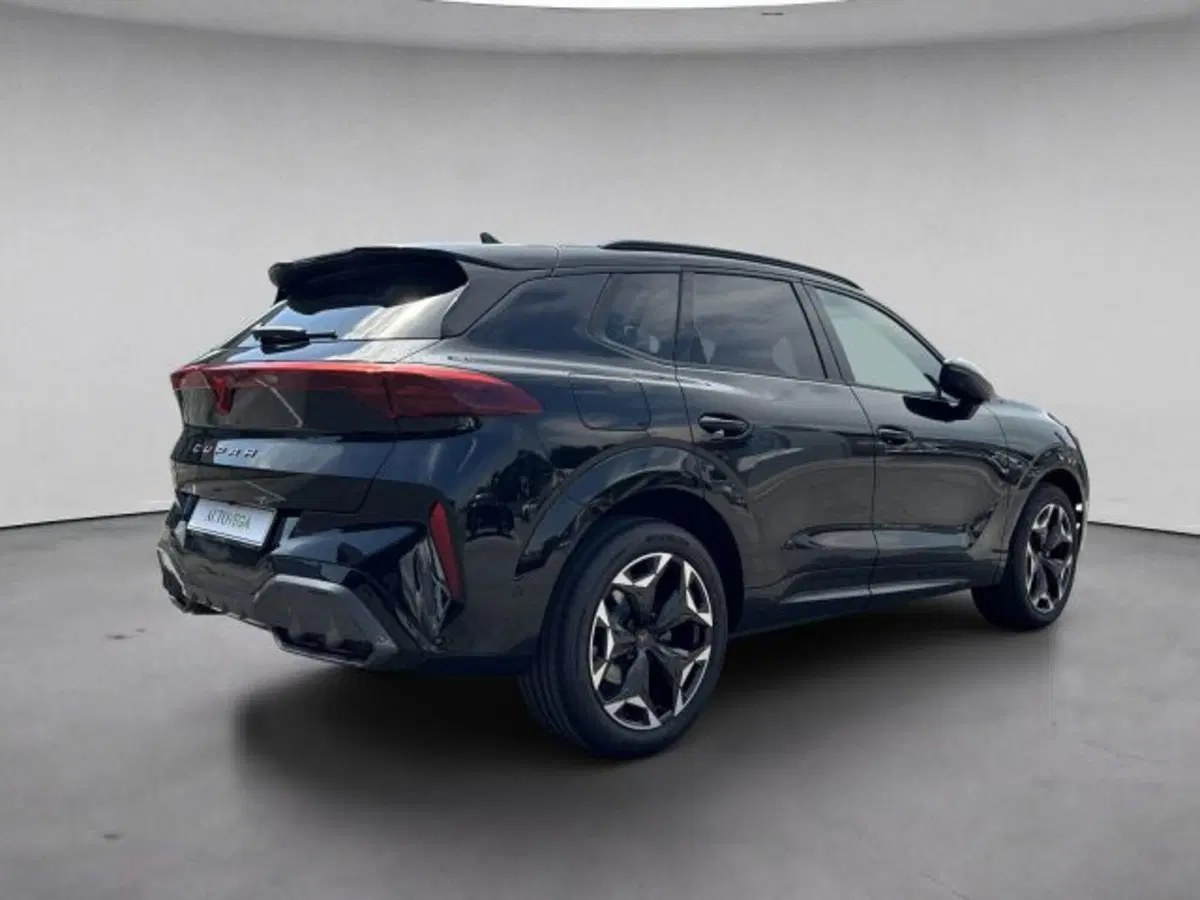 Cupra Terramar nuova a Vicenza (4)
