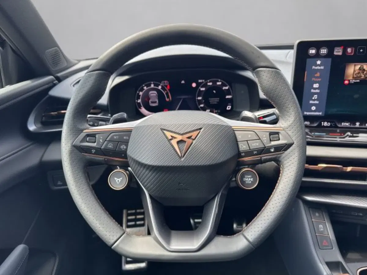 Cupra Terramar nuova a Vicenza (9)
