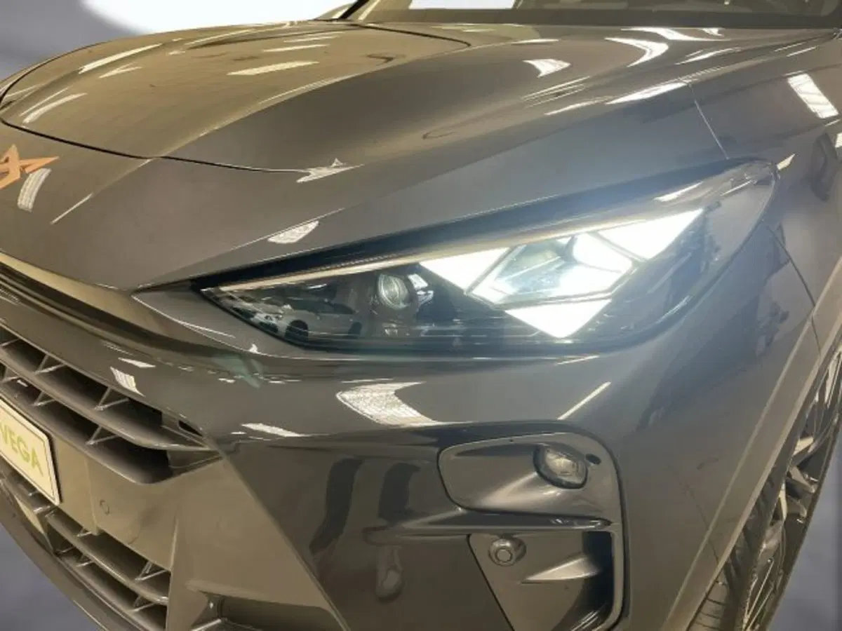 Cupra Terramar nuova a Vicenza (19)
