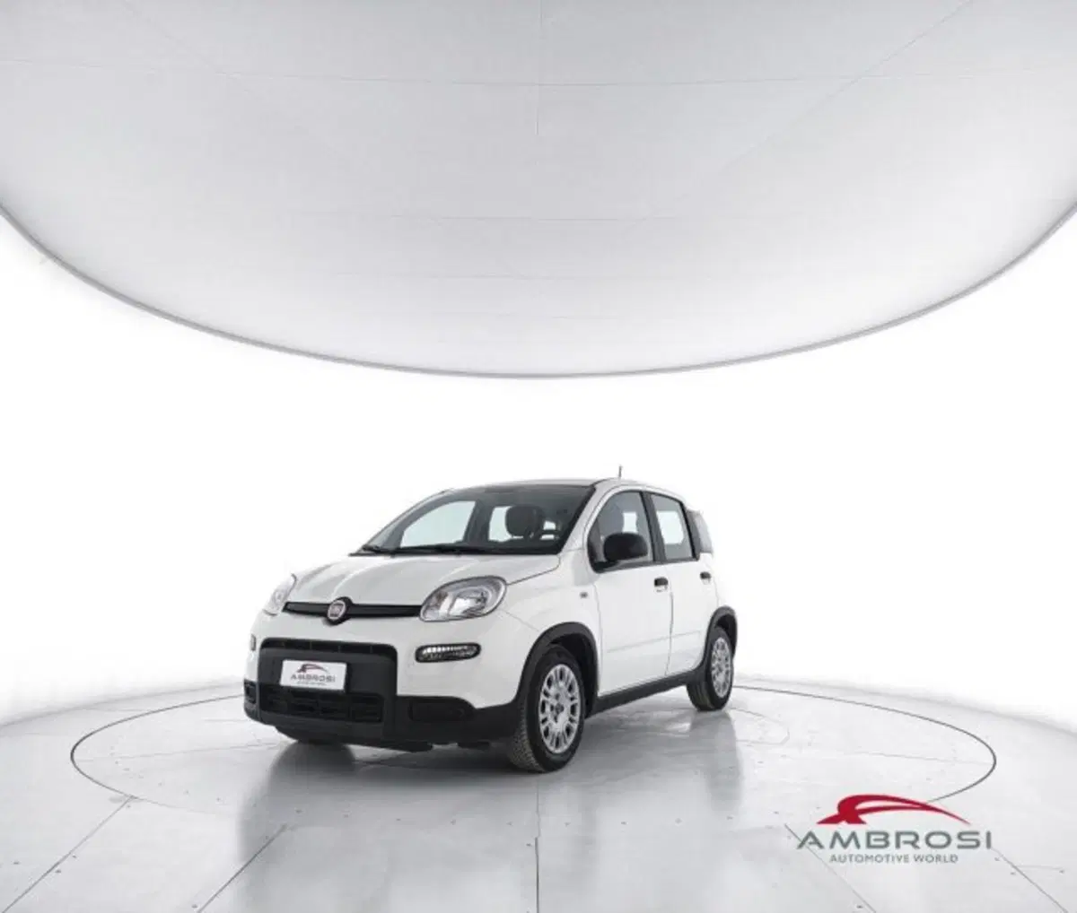 Fiat Panda usata a Perugia