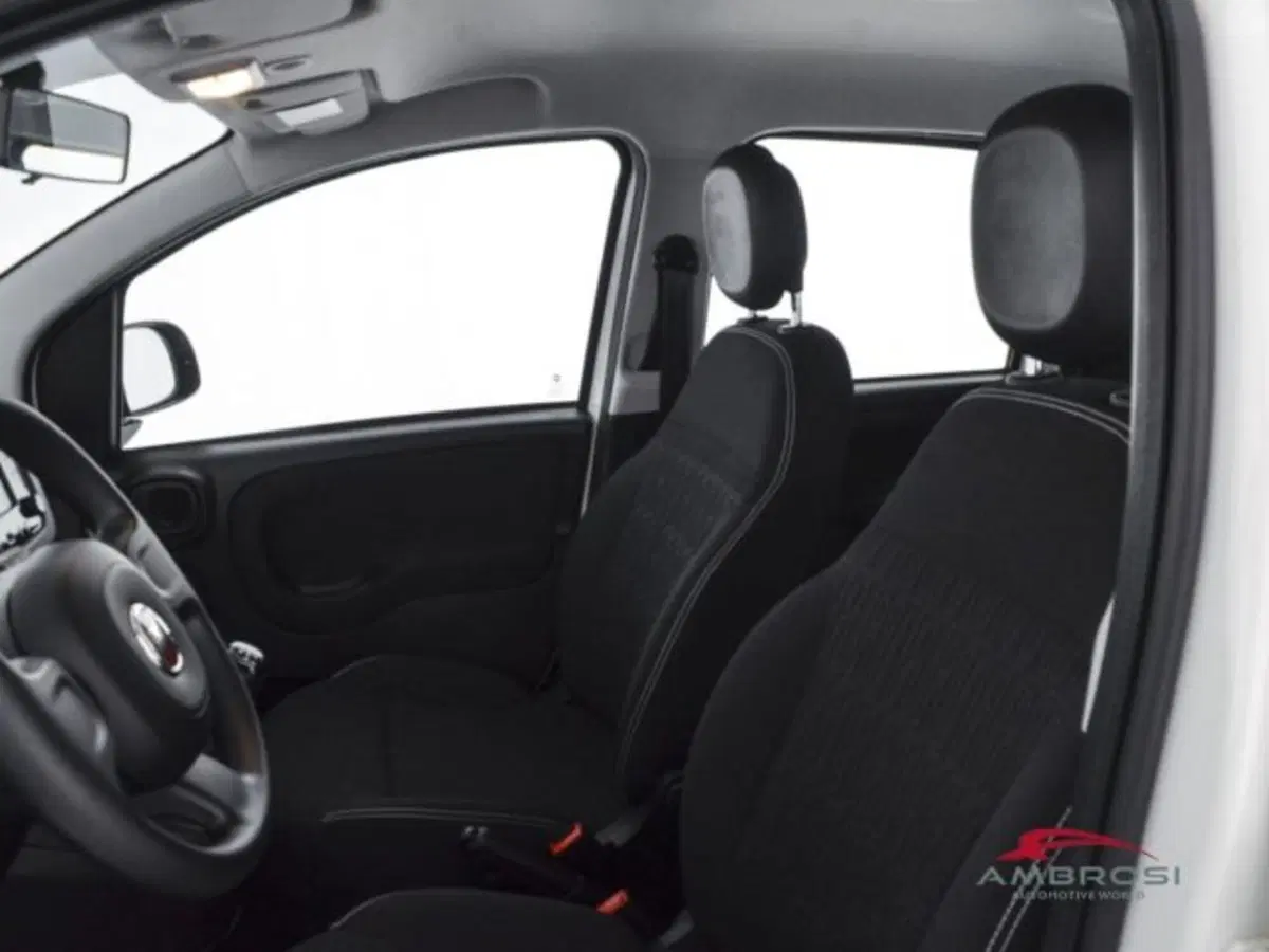 Fiat Panda usata a Perugia (9)