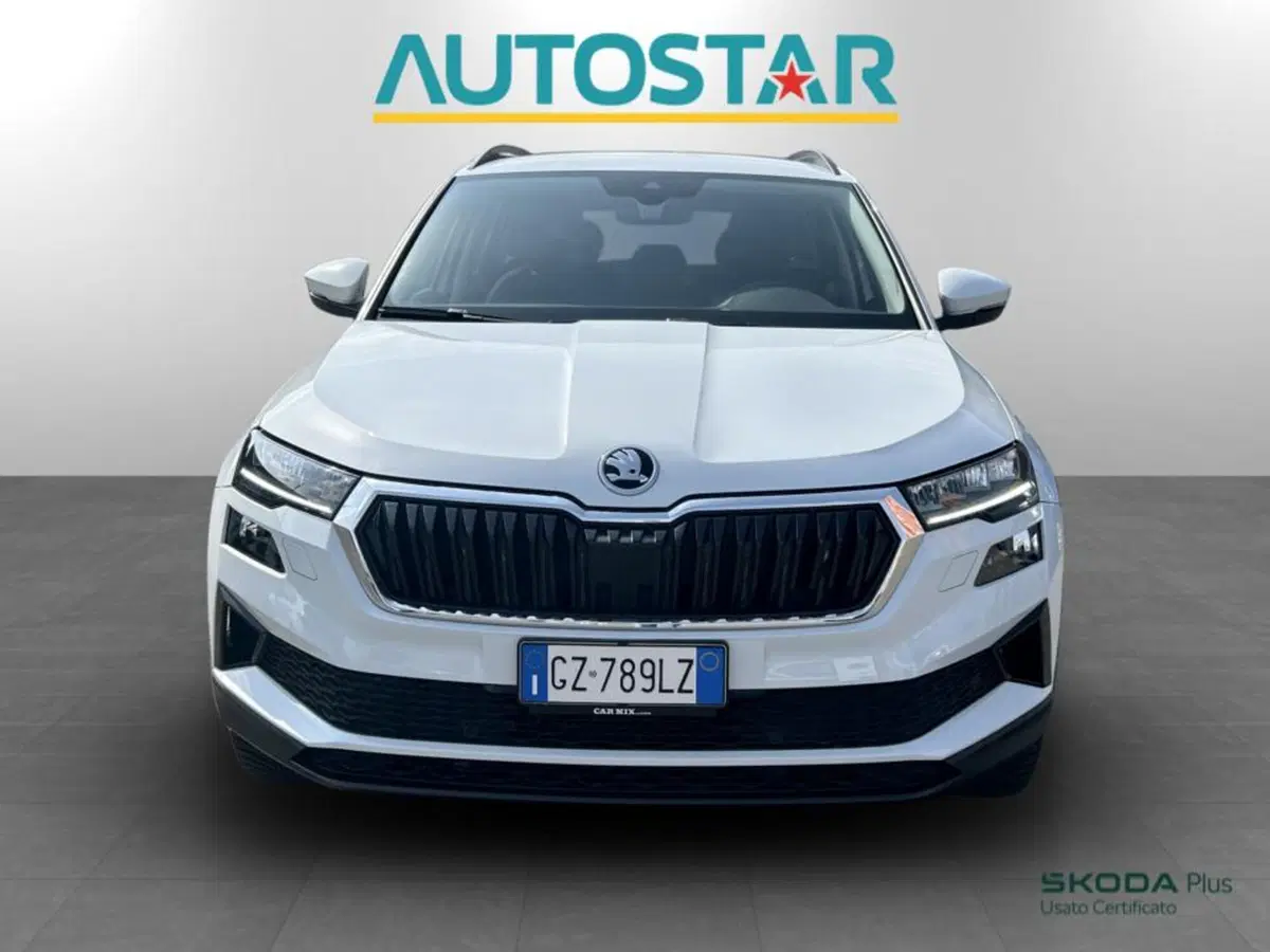 Skoda Karoq usata a Piacenza (2)