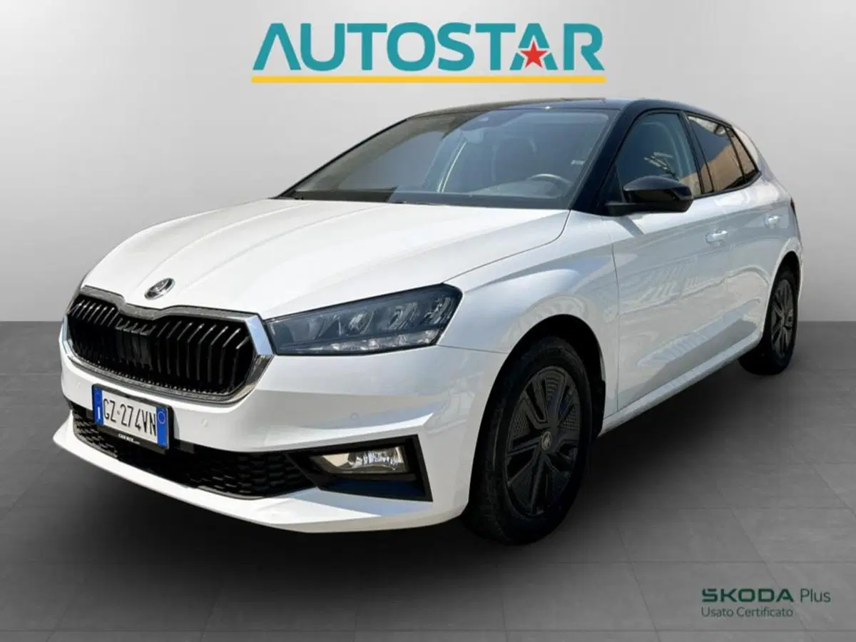 Skoda Fabia usata a Piacenza