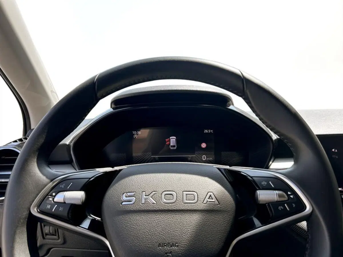 Skoda Fabia usata a Piacenza (12)