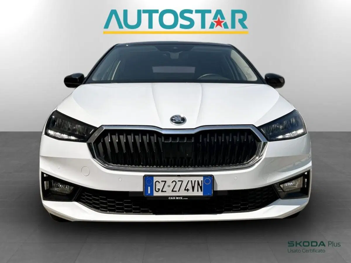 Skoda Fabia usata a Piacenza (2)