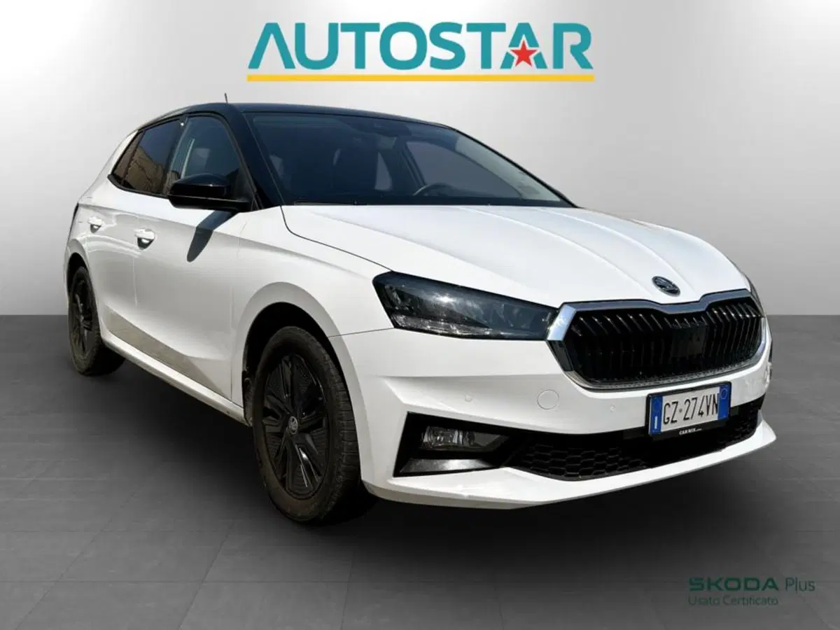 Skoda Fabia usata a Piacenza (3)