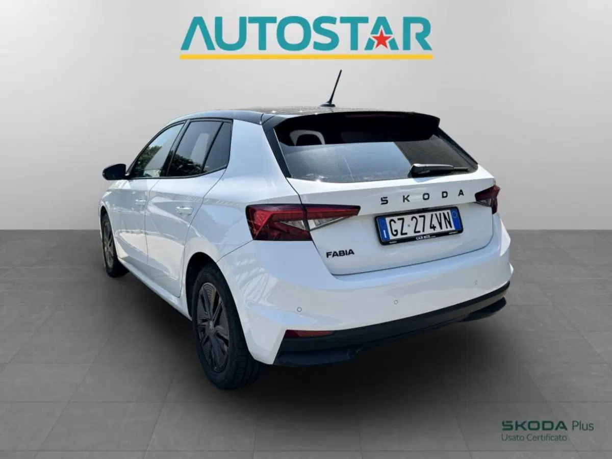 Skoda Fabia usata a Piacenza (4)