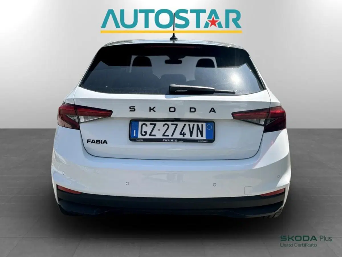 Skoda Fabia usata a Piacenza (5)