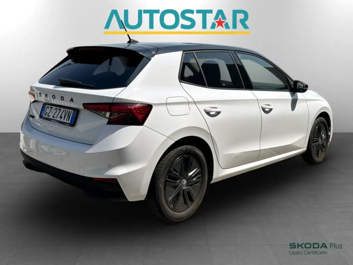 Skoda Fabia usata a Piacenza (6)