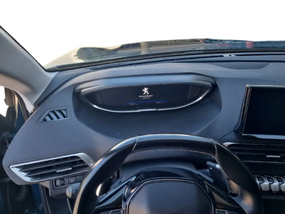 Peugeot 3008 usata a Lecce (14)