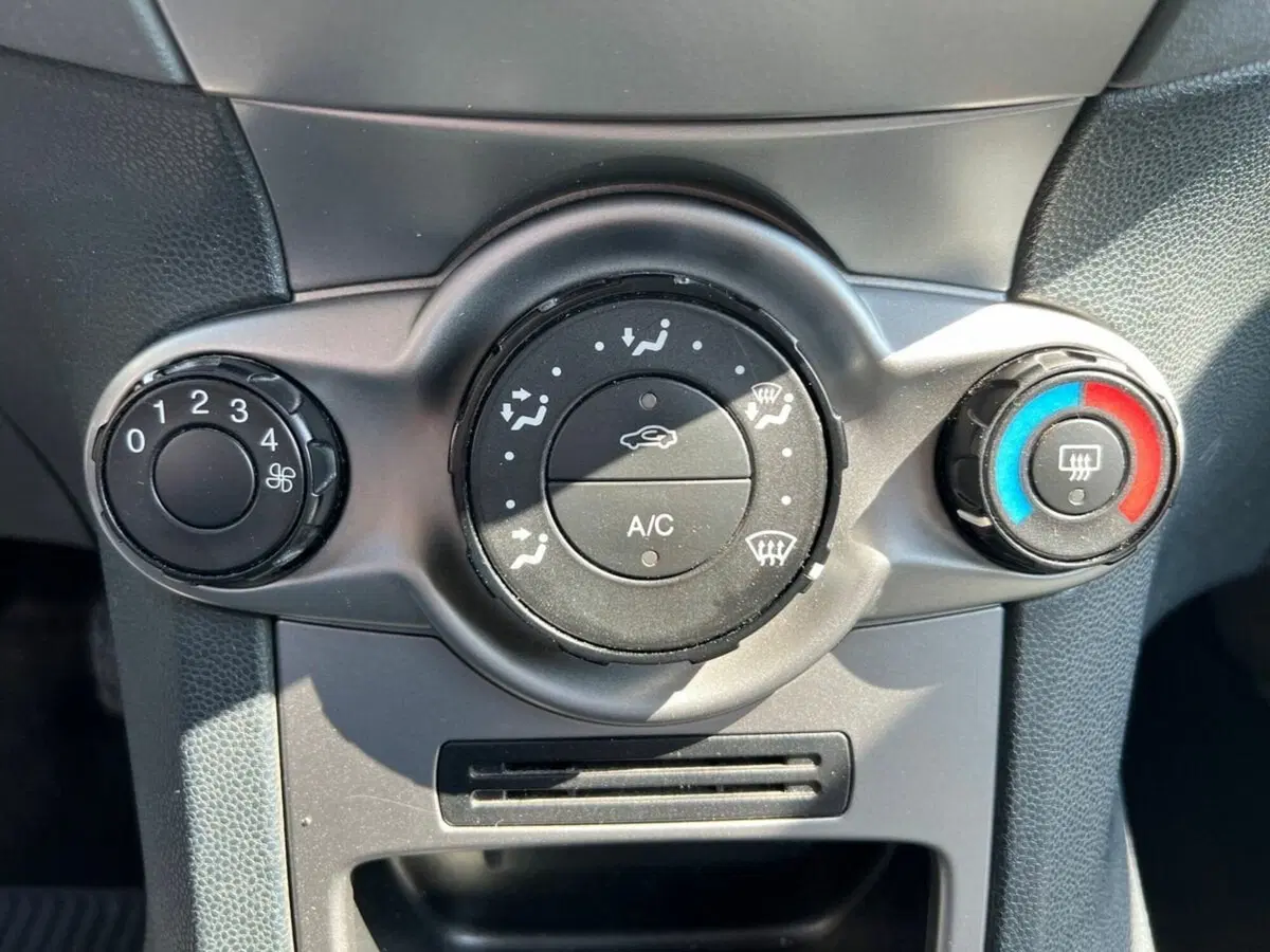 Ford Fiesta usata a Sondrio (13)