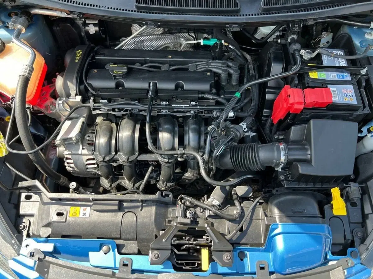 Ford Fiesta usata a Sondrio (15)
