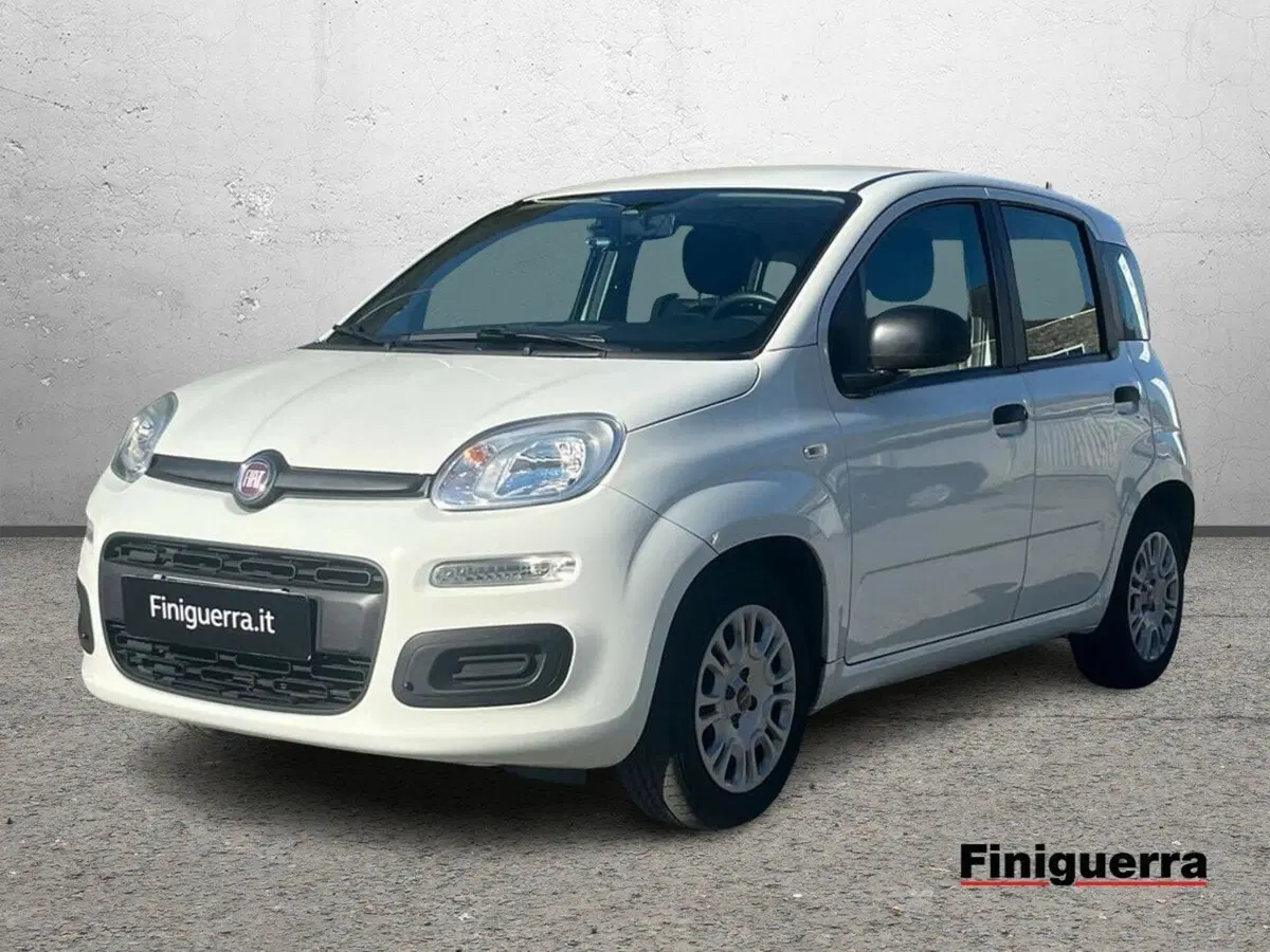 Fiat Panda Cross usata a Sondrio