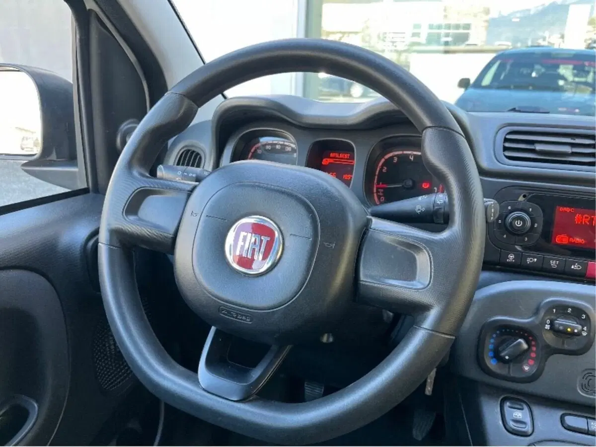 Fiat Panda Cross usata a Sondrio (14)