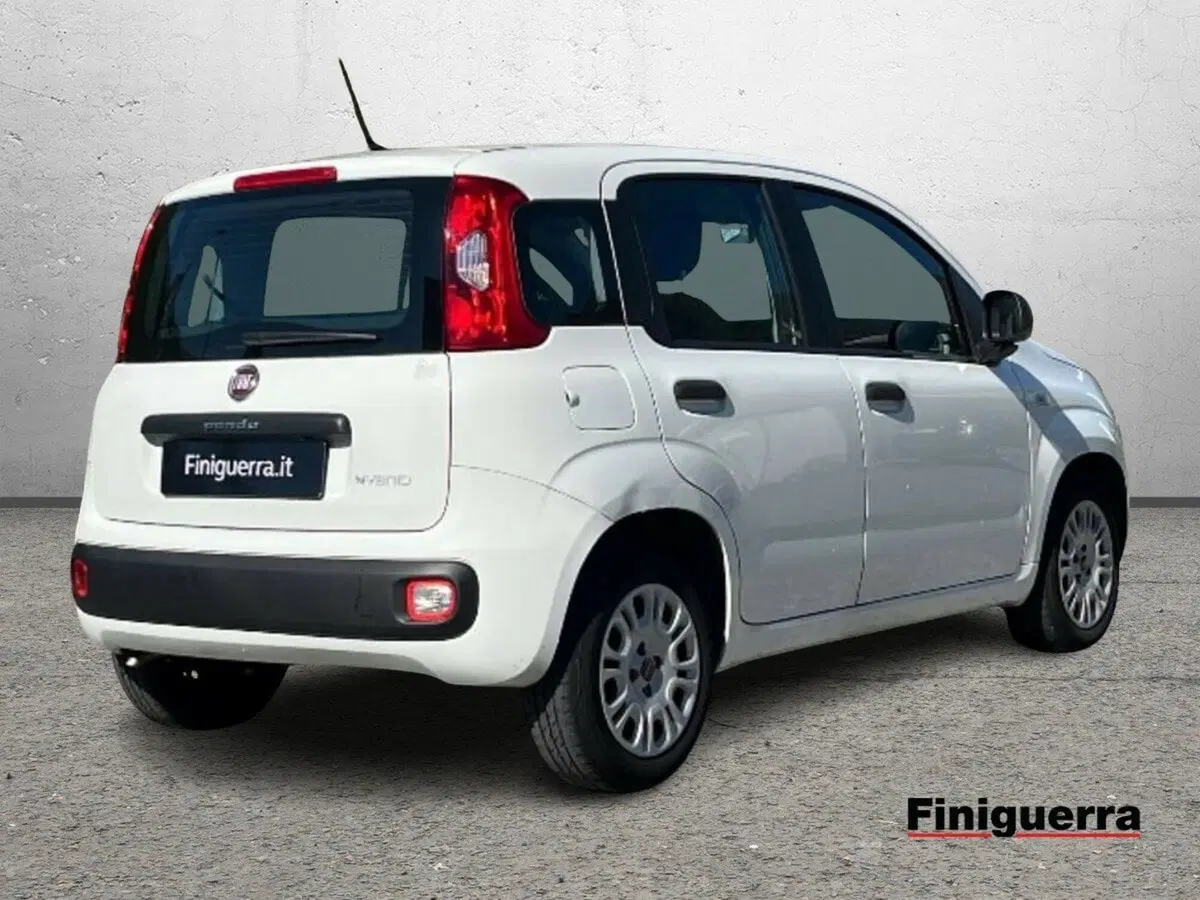 Fiat Panda Cross usata a Sondrio (4)