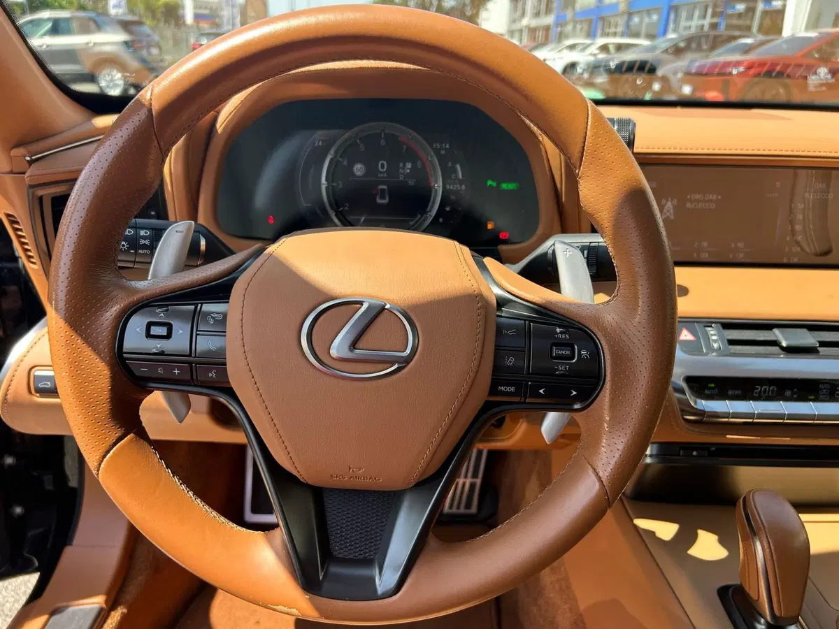 Lexus LC usata a Piacenza (14)