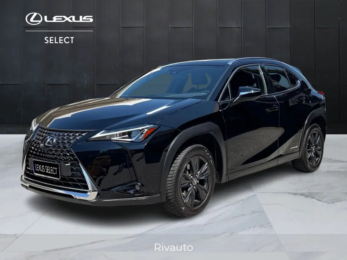 Lexus UX usata a Como