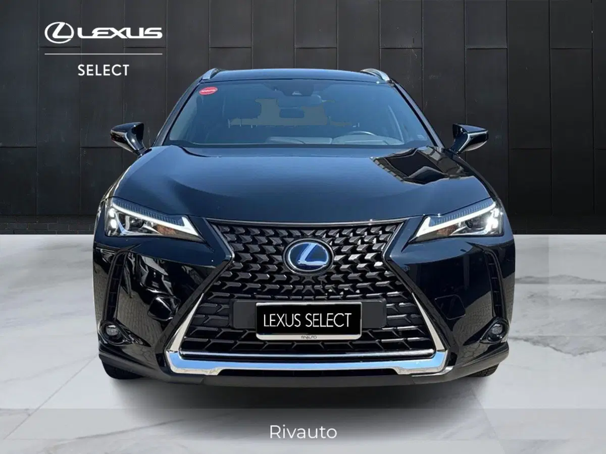 Lexus UX usata a Como (13)