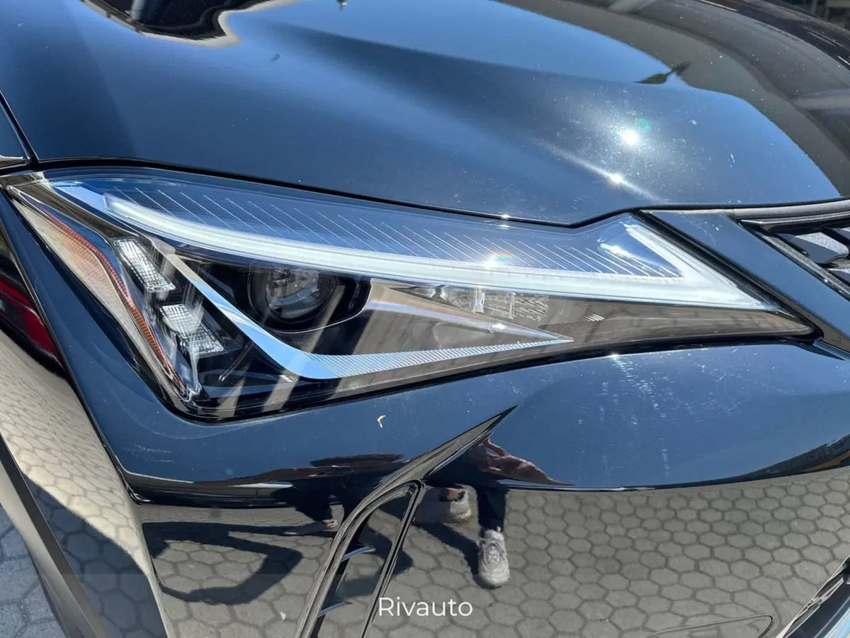 Lexus UX usata a Como (14)